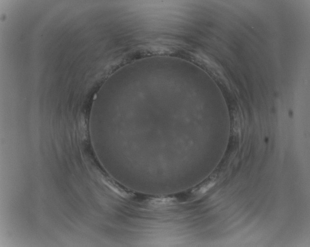 X0000076100465200610061711