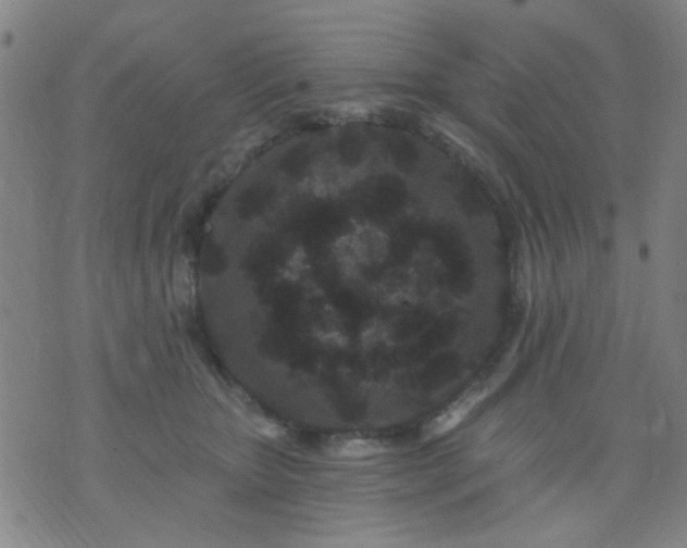 X0000076100467200610061711