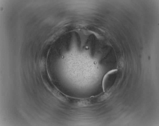 X0000076100468200610061711