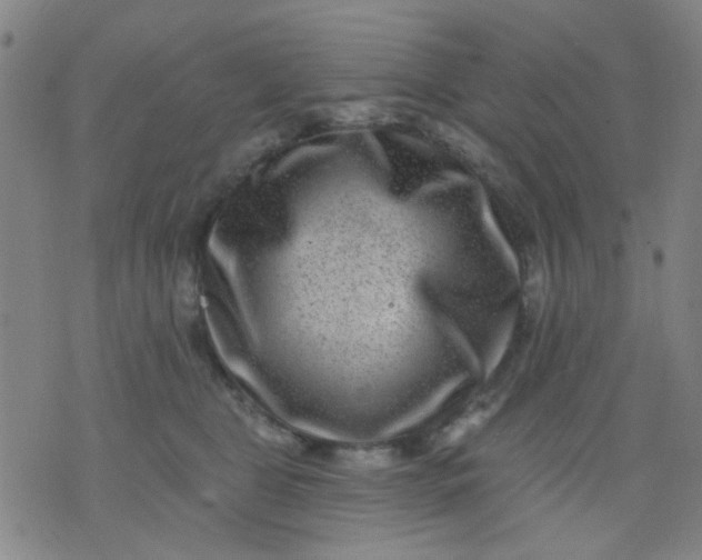 X0000076100469200610061711