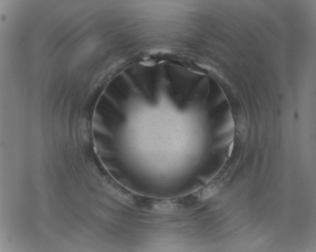 X0000076100470200610061711