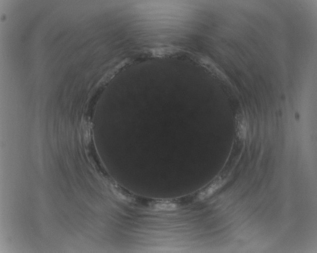 X0000076100471200610061711