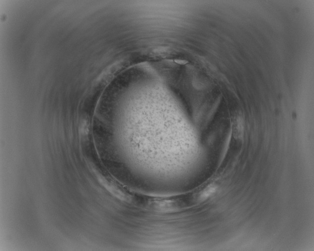 X0000076100472200610061711