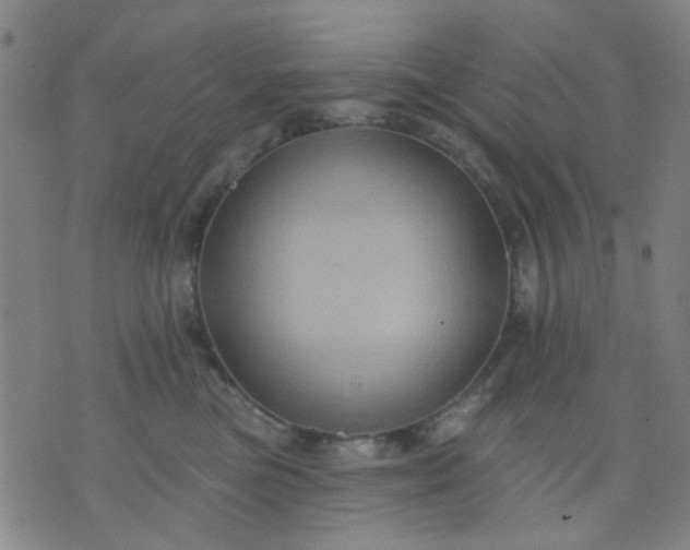 X0000076100473200610061711