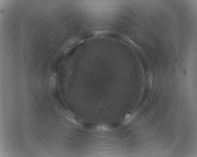 X0000076100475200610061711