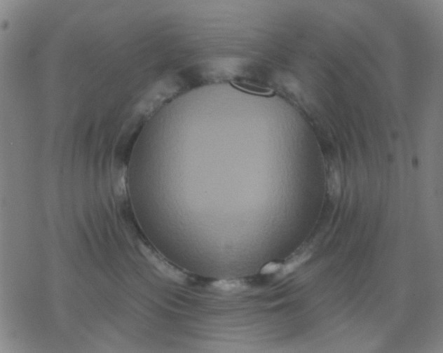 X0000076100477200610061711