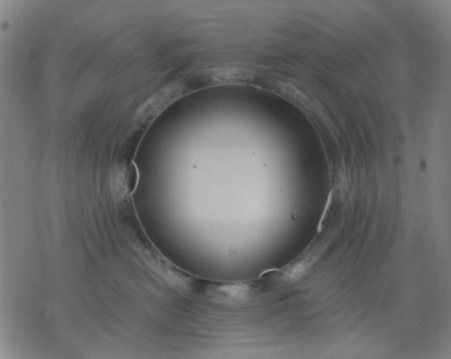 X0000076100478200610061711