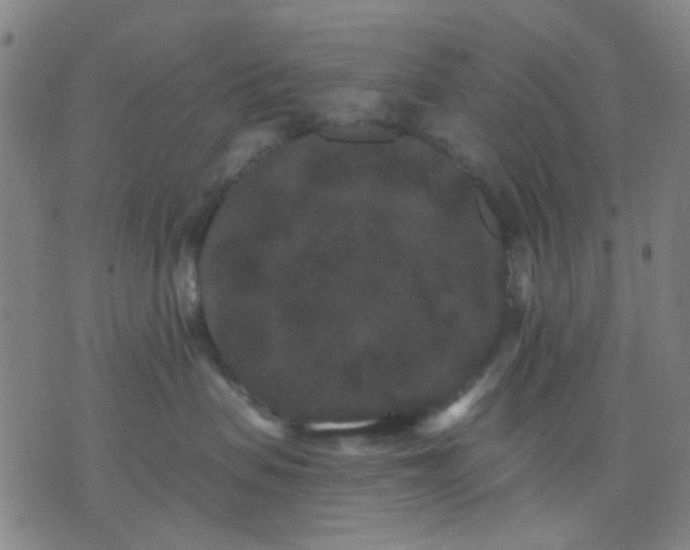 X0000076100479200610061711