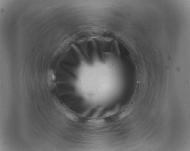 X0000076100480200610061711