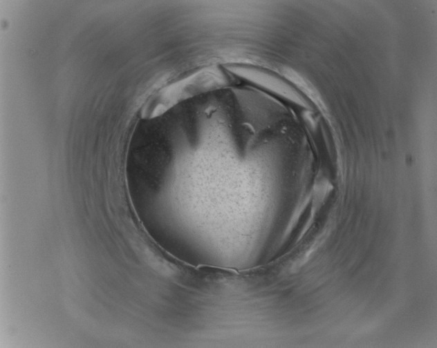 X0000076100481200610061710