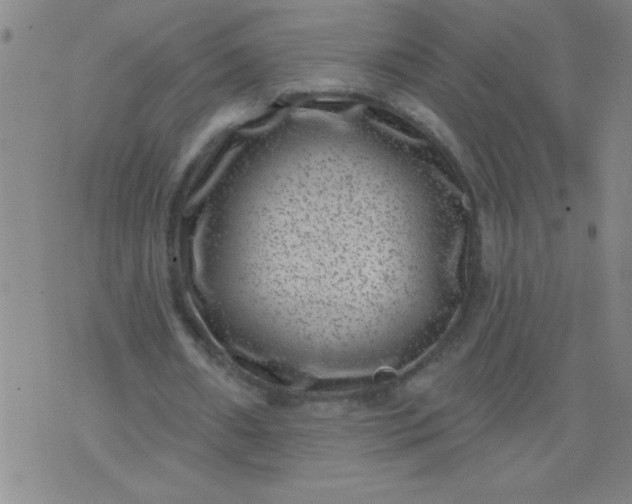 X0000076100482200610061710