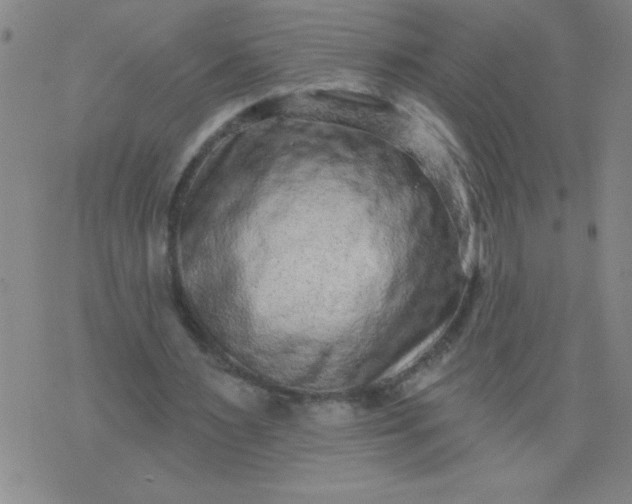 X0000076100483200610061710