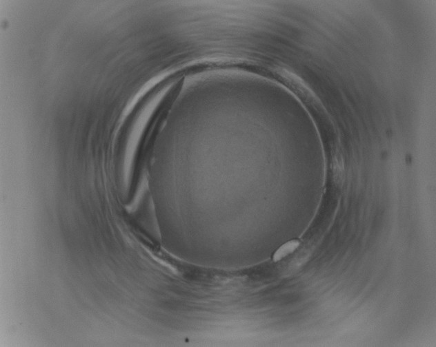 X0000076100484200610061710