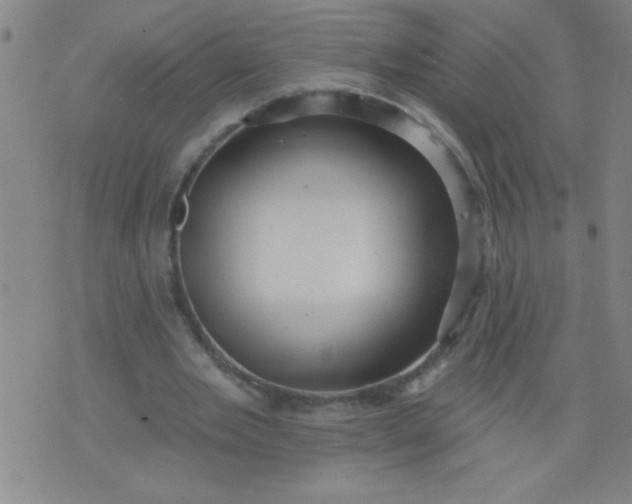 X0000076100485200610061710