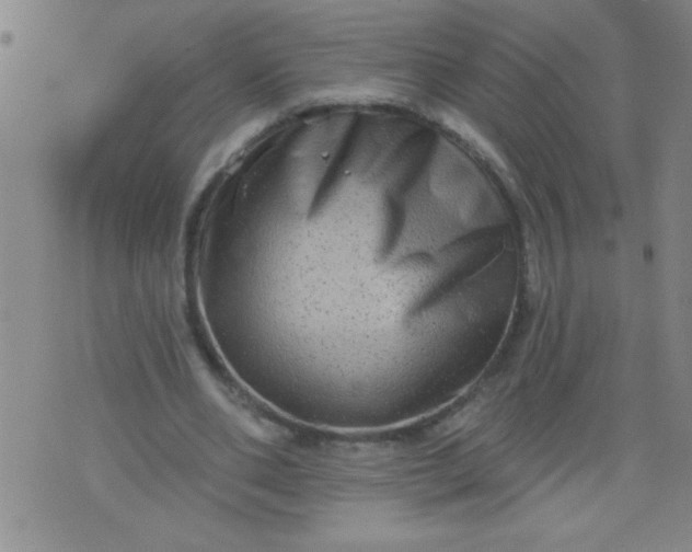 X0000076100486200610061710