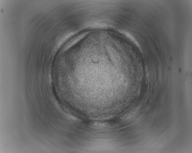 X0000076100487200610061710