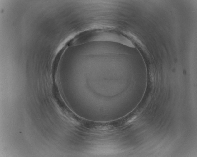 X0000076100488200610061710