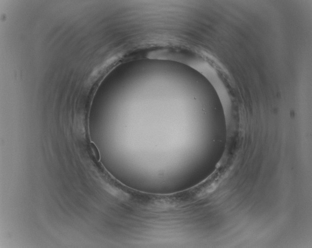 X0000076100489200610061710