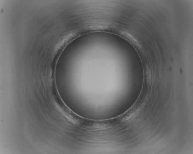 X0000076100490200610061710