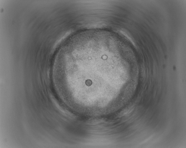 X0000076100491200610061710