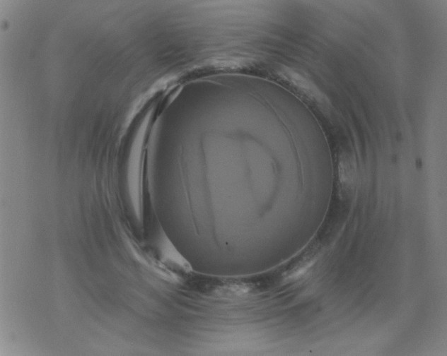 X0000076100492200610061710