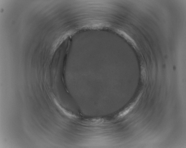 X0000076100493200610061710