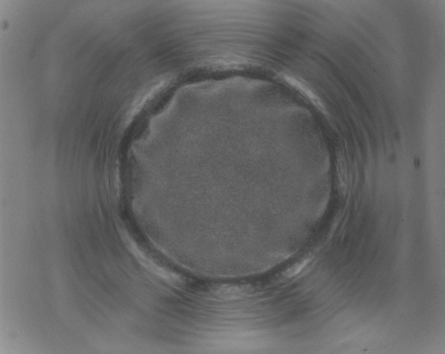 X0000076100494200610061710