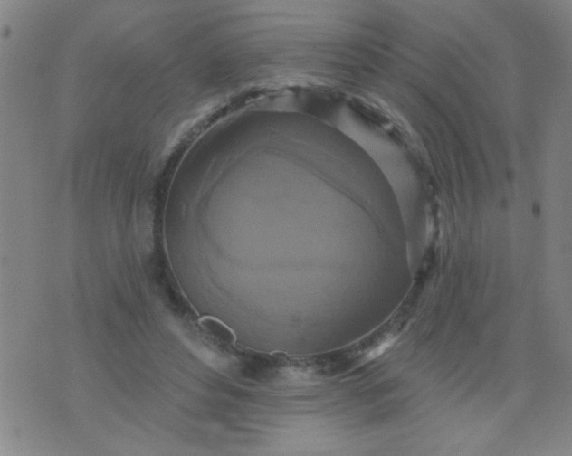 X0000076100496200610061710