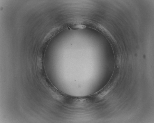 X0000076100497200610061710