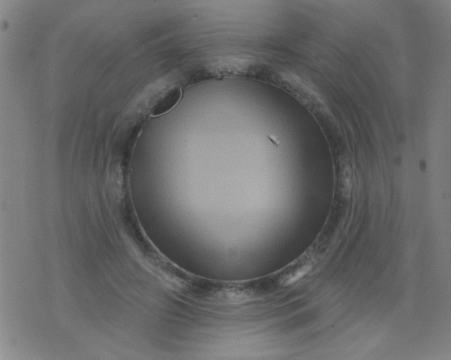 X0000076100498200610061710