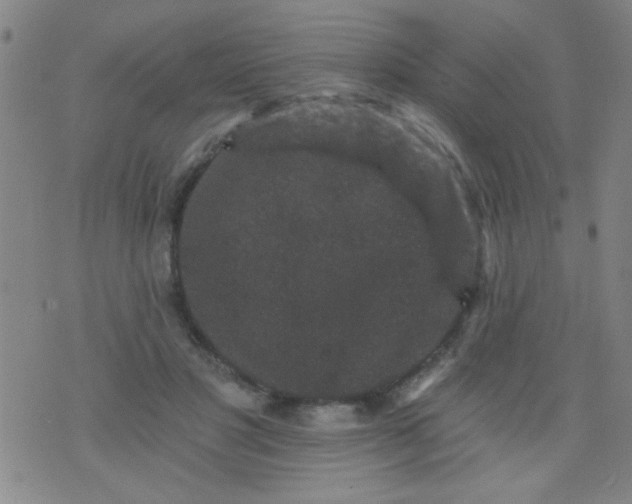 X0000076100501200610061710