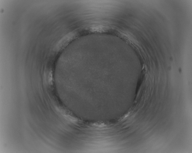 X0000076100502200610061710