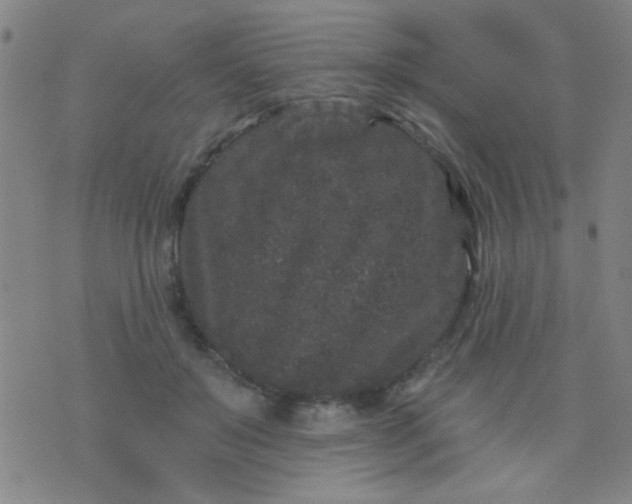 X0000076100503200610061710