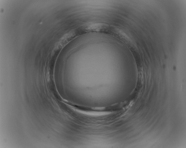 X0000076100504200610061710