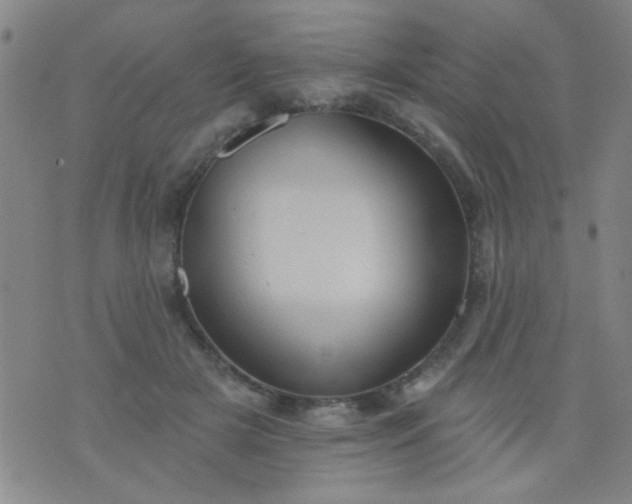 X0000076100505200610061710