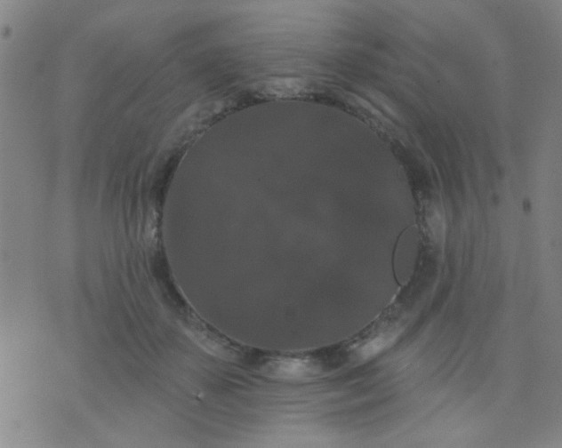 X0000076100507200610061710