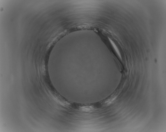 X0000076100508200610061710