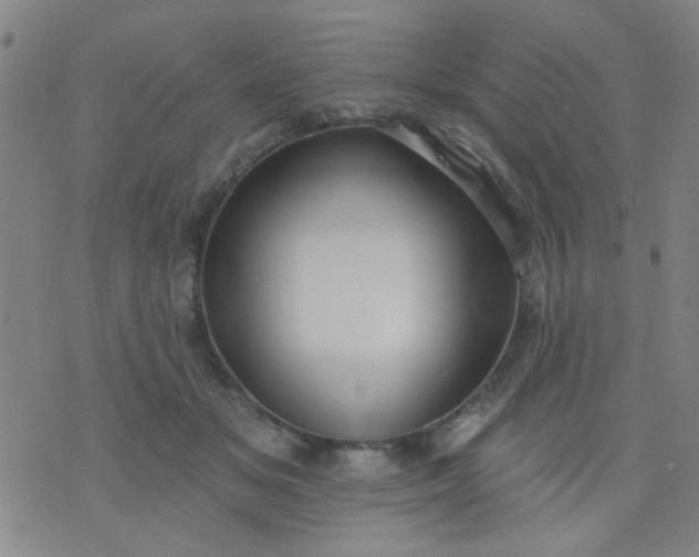 X0000076100509200610061710