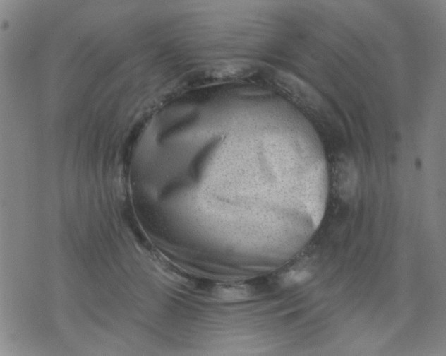 X0000076100510200610061710