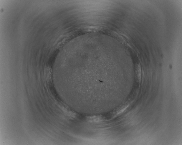 X0000076100511200610061710