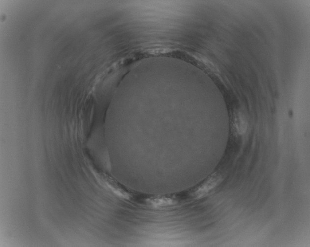 X0000076100512200610061710