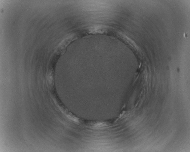 X0000076100513200610061710