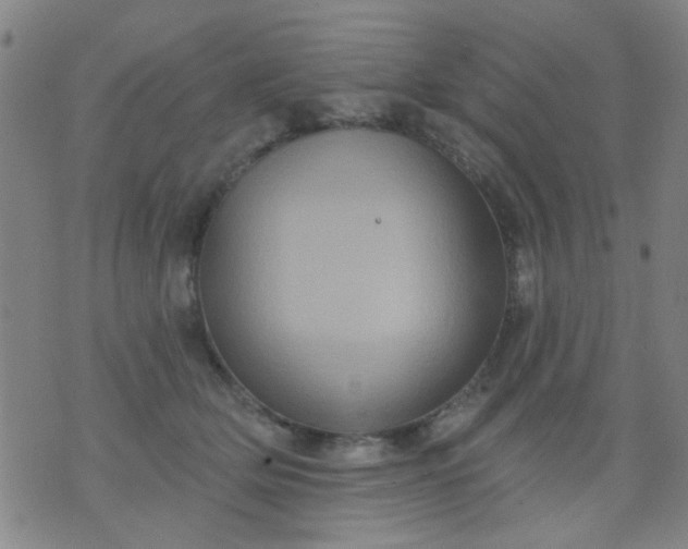 X0000076100514200610061710