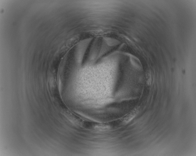 X0000076100515200610061710