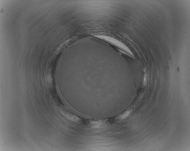 X0000076100516200610061710