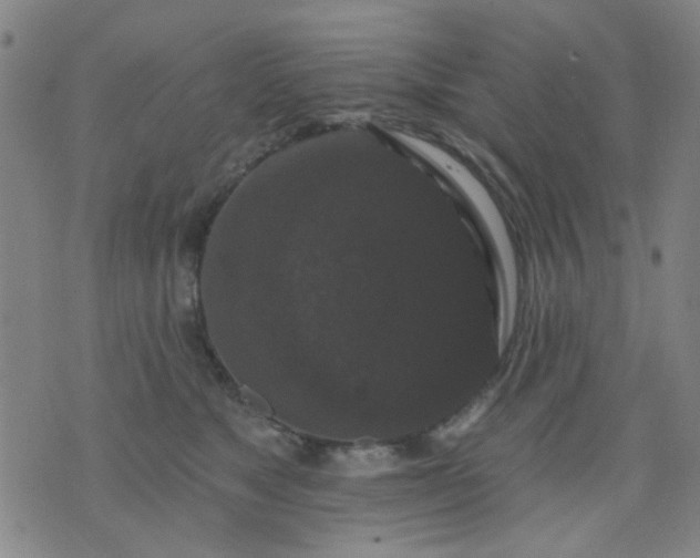 X0000076100517200610061710