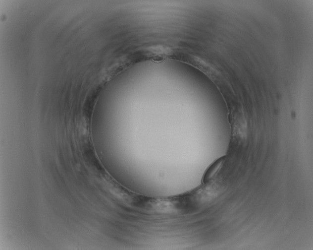 X0000076100518200610061710