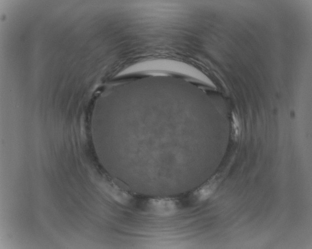 X0000076100520200610061710