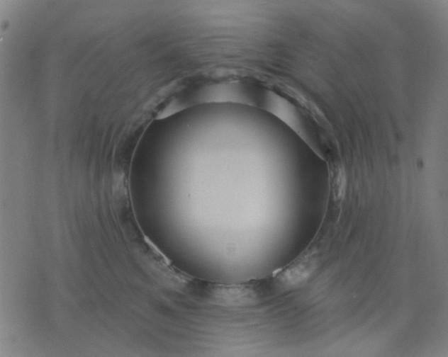 X0000076100521200610061710