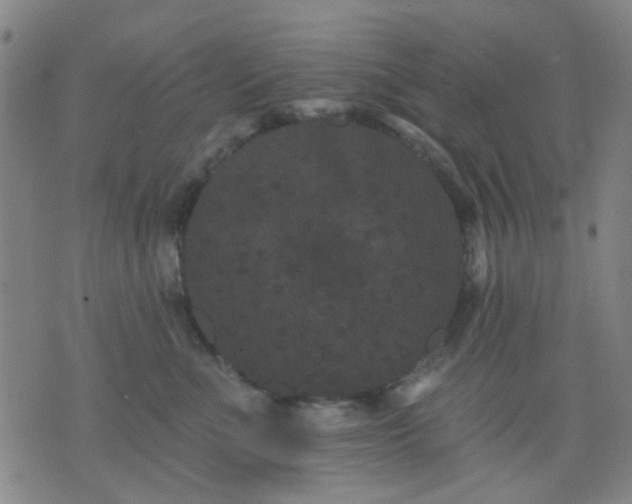 X0000076100523200610061710